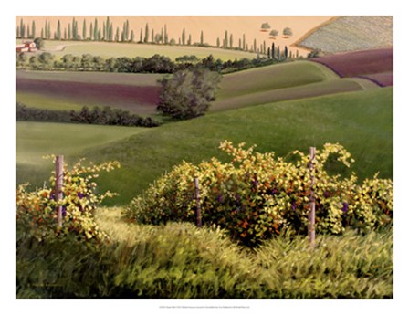 Chianti Hills by Michael Swanson art print