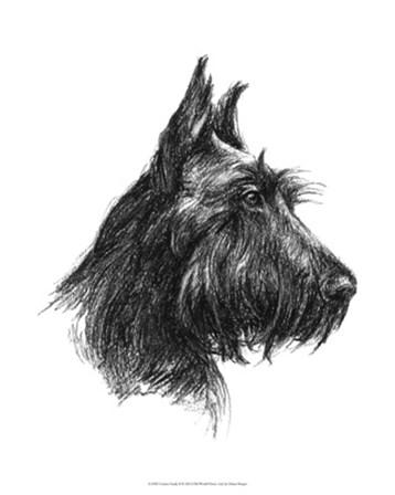 Canine Study II by Ethan Harper art print