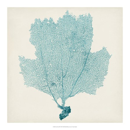 Sea Fan III by Timothy O&#39;Toole art print