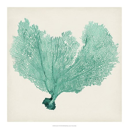 Sea Fan VI by Timothy O&#39;Toole art print