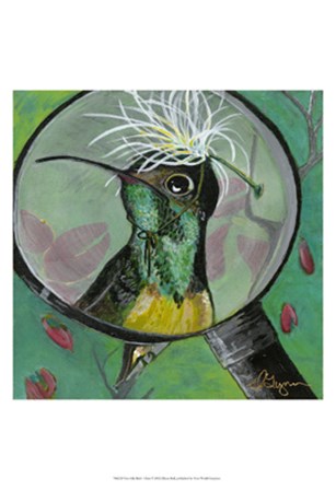 You Silly Bird - Clara by Dlynn Roll art print