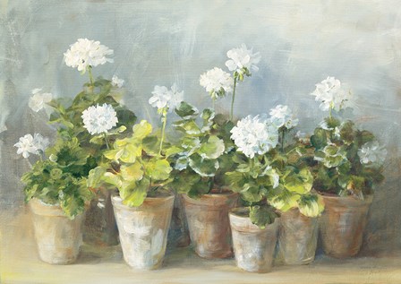 White Geraniums by Danhui Nai art print