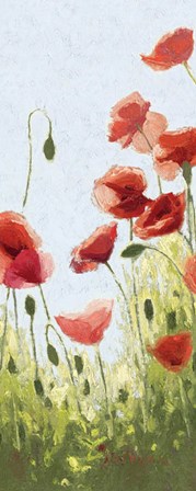 Mountain Poppies II by Shirley Novak art print