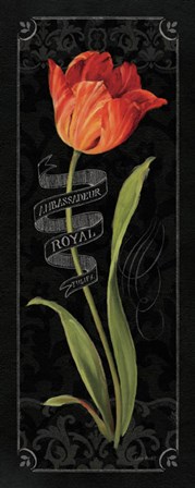 Tulipa Botanica II by Lisa Audit art print