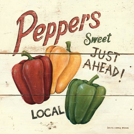 Sweet Peppers by David Carter Brown art print