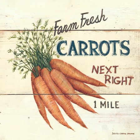 Farm Fresh Carrots by David Carter Brown art print