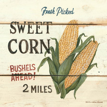 Fresh Picked Sweet Corn by David Carter Brown art print