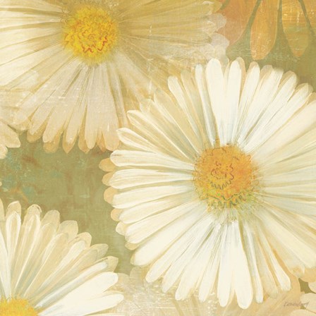 Daisy Story Square I by Kathrine Lovell art print