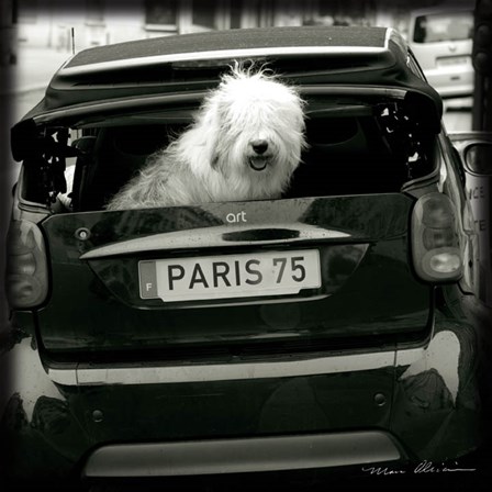 Paris Dog I by Marc Olivier art print