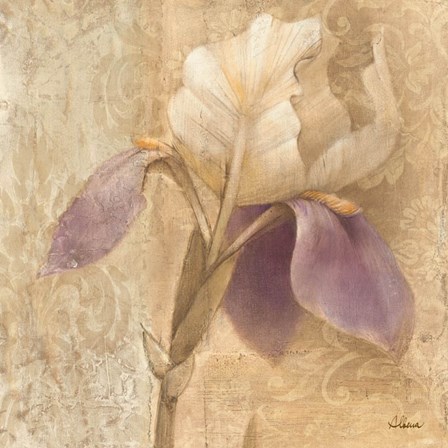 Brocade Iris by Albena Hristova art print