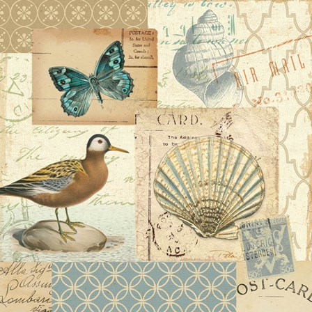 Coastal Collage I by Pela art print