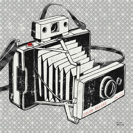 Vintage Analog Camera by Michael Mullan art print