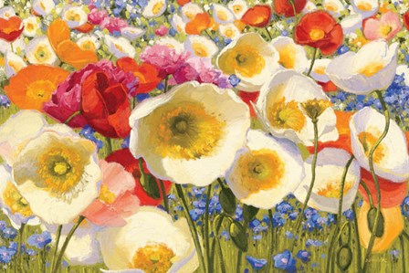 Sunny Abundance by Shirley Novak art print