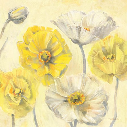 Gold and White Contemporary Poppies II by Carol Rowan art print