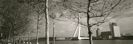 Bridge Over A River, Erasmus Bridge, Rotterdam, Netherlands by Panoramic Images art print