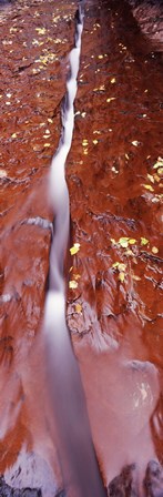 Stream flowing through rocks, Zion National Park, Utah by Panoramic Images art print
