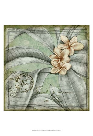 Postmark Tropicals I by Jennifer Goldberger art print