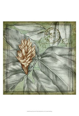 Postmark Tropicals II by Jennifer Goldberger art print