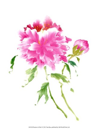 Peonies in Pink I by Nan Rae art print