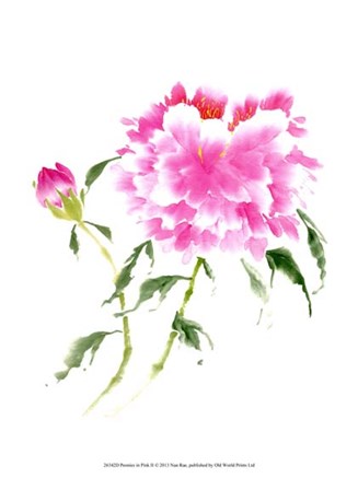 Peonies in Pink II by Nan Rae art print