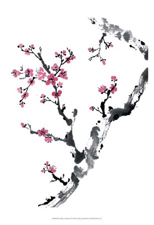 Plum Blossom Branch II by Nan Rae art print