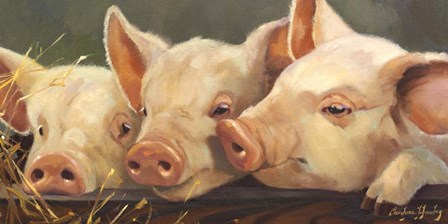 Pig Heaven by Carolyne Hawley art print