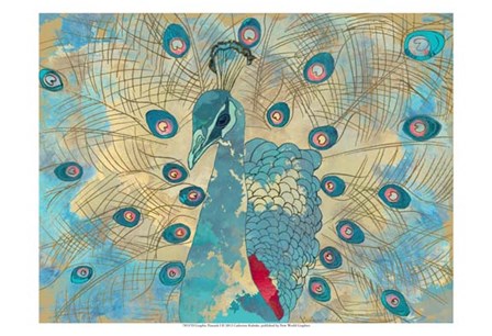 Graphic Peacock I by Catherine Kohnke art print