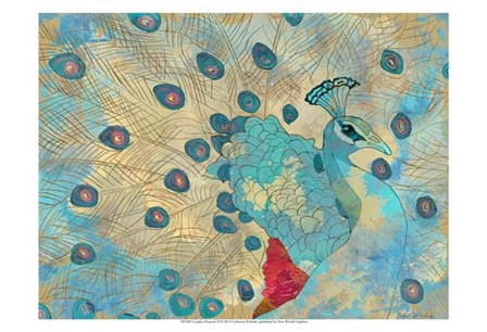 Graphic Peacock II by Catherine Kohnke art print