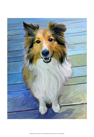 Sheltie the Eyes Have it by Robert McClintock art print