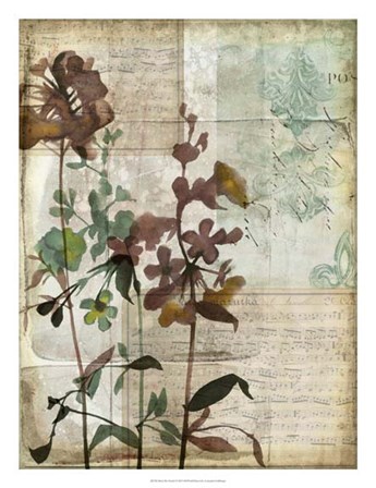 Music Box Floral I by Jennifer Goldberger art print