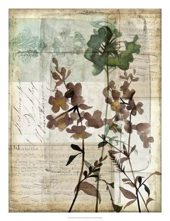 Music Box Floral II by Jennifer Goldberger art print
