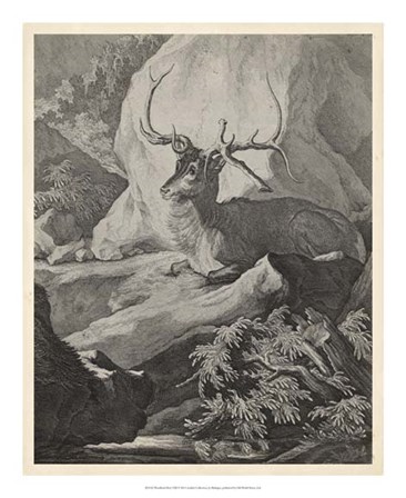 Woodland Deer VIII by J. e. Ridinger art print
