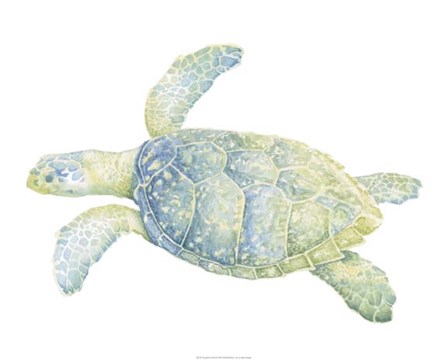 Tranquil Sea Turtle II by Megan Meagher art print