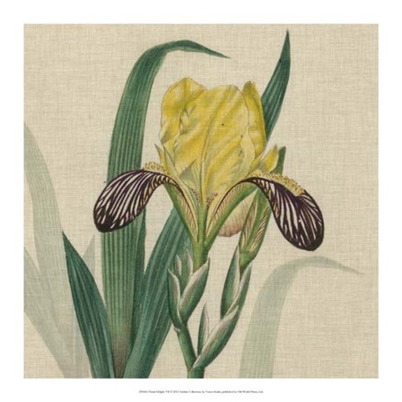 Floral Delight VII by Vision Studio art print