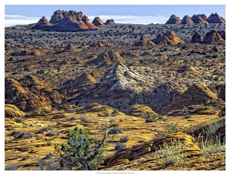 View from Coyote Buttes by Colby Chester art print