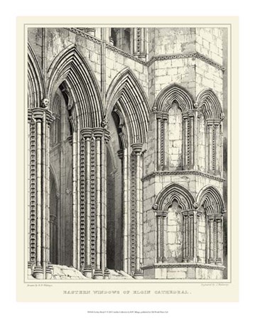 Gothic Detail V by R W Billings art print
