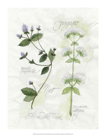 Oregano &amp; Mint by Elissa Della-Piana art print