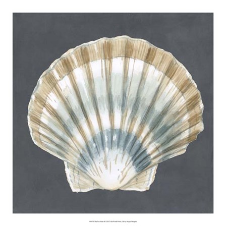 Shell on Slate III by Megan Meagher art print