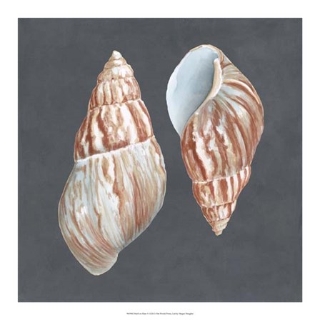 Shell on Slate V by Megan Meagher art print