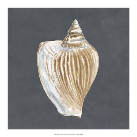Shell on Slate VI by Megan Meagher art print