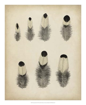 Vintage Feathers II art print