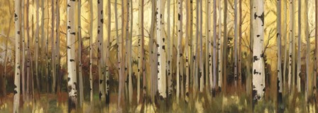 Forest Light by Allison Pearce art print