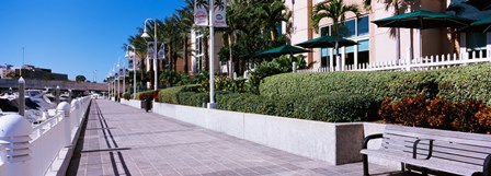 Buildings along a walkway, Garrison Channel, Tampa, Florida, USA by Panoramic Images art print