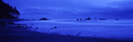 Surf on the beach, Ruby Beach, Olympic National Park, Olympic Peninsula, Washington State, USA by Panoramic Images art print