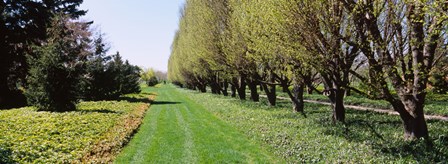 Botanical garden, Niagara Falls, Ontario, Canada by Panoramic Images art print