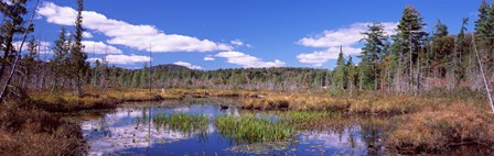 Reflection of clouds in water, Raquette Lake, Adirondack Mountains, New York State, USA by Panoramic Images art print