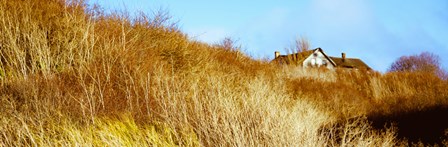 Historic home on a landscape, Whidbey Island, Island County, Washington State, USA by Panoramic Images art print