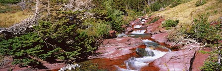 Low angle view of a creek, Baring Creek, US Glacier National Park, Montana, USA by Panoramic Images art print