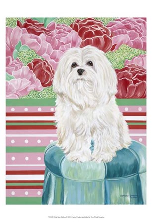 Della Rose Maltese by Carolee Vitaletti art print