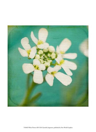 White Flowers III by Jennifer Jorgensen art print